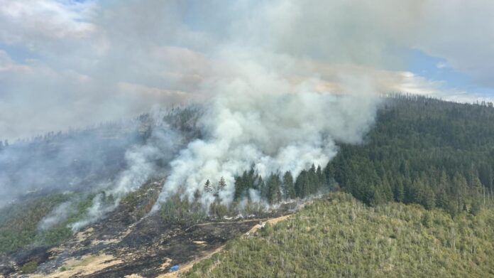 Aerial photo of Bradley Creek wildfire near Vernon