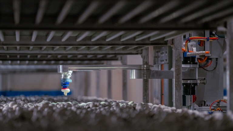 Salmon Arm robotics company CEO says more jobs coming