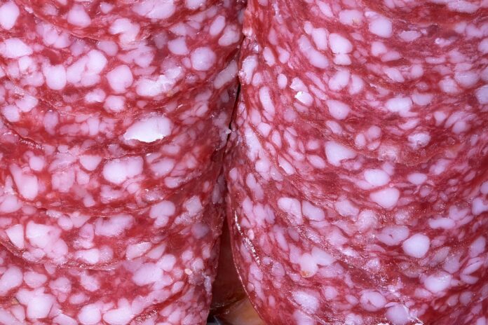 Photo of Salami.
