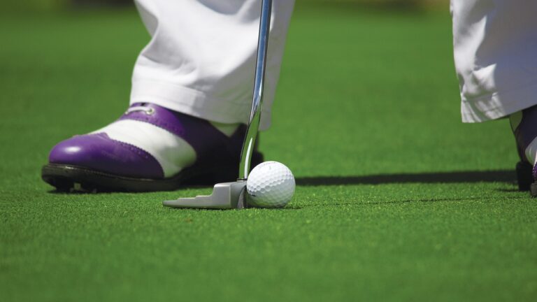 New additions to the annual golf tournament in North Shuswap